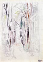 Avenue in Langenargen