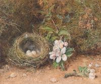 Bird's Nest with Sprays of Apple Blossoms