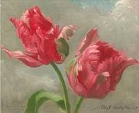 Fantasy Tulips