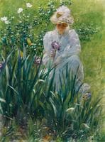 The Iris Bed