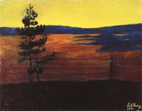 Evening