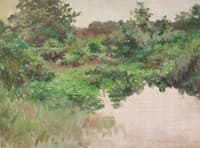The Pond