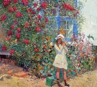 Summer Flowers