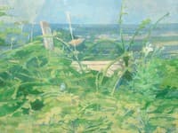 View over the Flowers