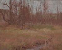A Stream through Birch Trees