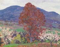New Hampshire in Spring