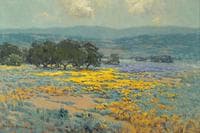 California Wild Flowers