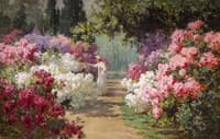 In Bloom