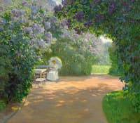 Summer Garden in Bloom