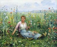 Picking Wild Flowers