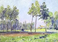 country view