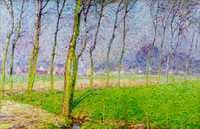 Poplars in Maartezon