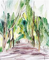Avenue of Trees in Langenargen