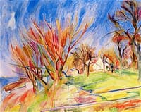 Landscape at Lake Constance