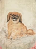 The Little Pekingese