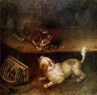 Cat and Dog