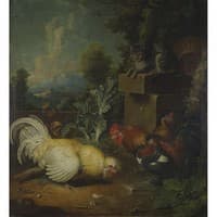 Hens and Cat