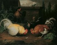 The Chicken Yard