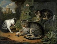 Still-life with Cat and Two Kittens