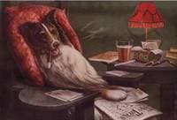 A Bachelor's Dog