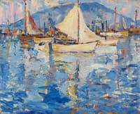 Tiburon Bay