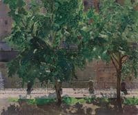 Study of Trees