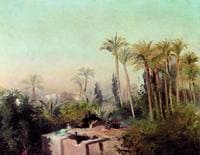 Irrigation System in Egypt