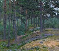 Bluebells