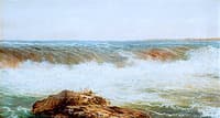 Seashore
