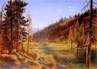 Truckee River, Sierra Nevada Mountains
