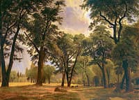 Yosemite Valley Scene