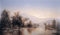 Cattle Watering in a Placid River