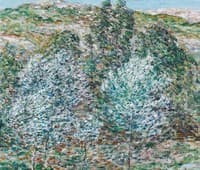 Springtime Vision