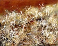 Thistles