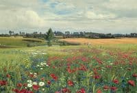 Field with Poppies and Daisies