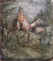 Camel Rider