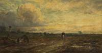 A Sussex Common