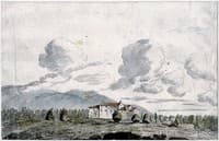 A farm