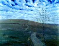 Quiet Fields