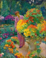 Nasturtiums