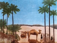 Dromedaries in the Desert