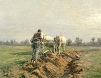 Plowing