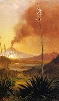 South American Landscape