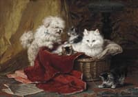 A terrier playing with kittens