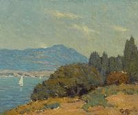 Boats of Richardson Bay