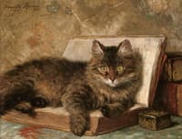 The Wise Cat