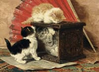 Three kittens playing by a stove