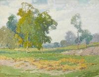 Eucalyptus and Green Fields