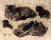 Study of a cat and her kittens