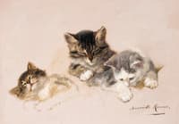 Three little kittens